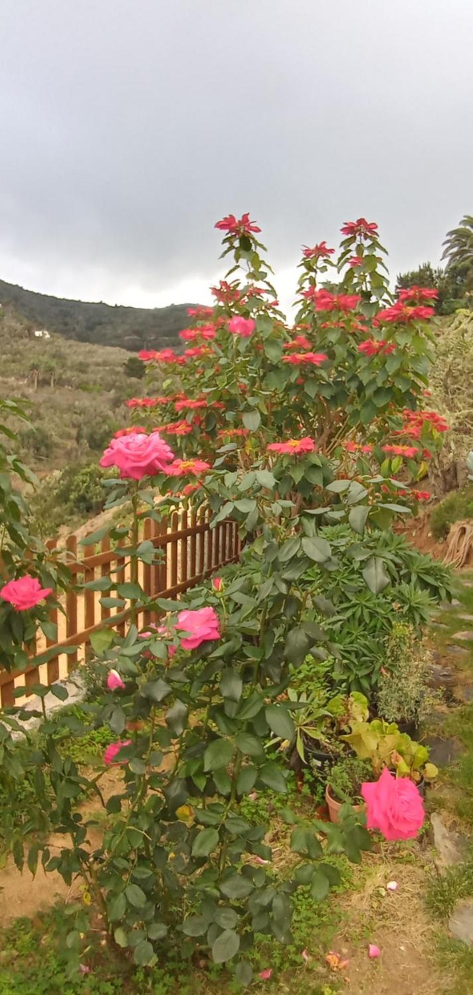 Casa Maria Villa Agulo Room photo